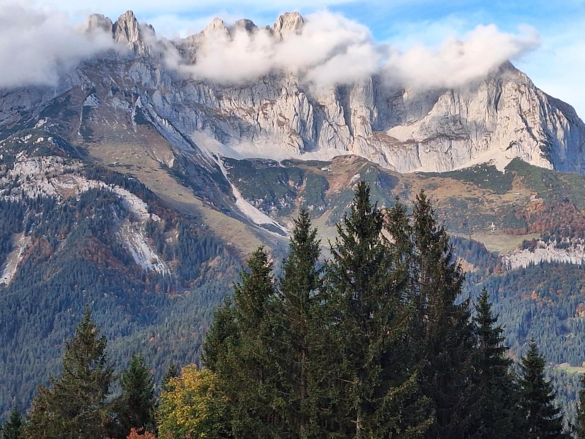 Apartment Unterhollenau Going am Wilden Kaiser Экстерьер фото
